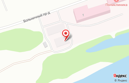 Больница Петушинская районная больница в Больничном проезде на карте