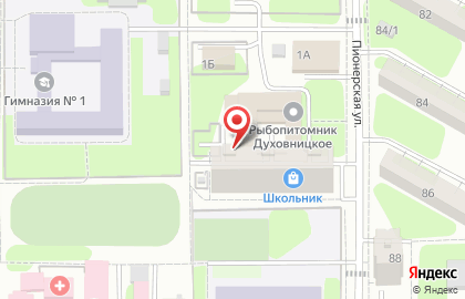 Мастерская по чистке пухо-перьевых изделий Лебёдушка на карте