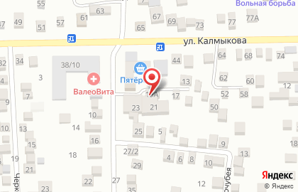 Центр аппаратной косметологии LOUIS DOR на улице Руставели на карте