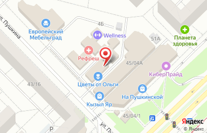 Стоматология Premier на улице Пушкина на карте