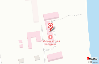 Туберкулезная больница №1 в Кудряшовском на карте
