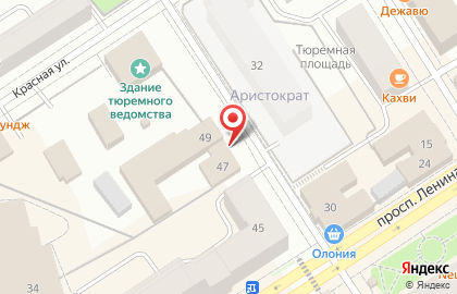 Следственный изолятор №1 на улице Герцена на карте