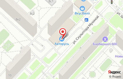 Авторизованный сервисный центр Mobil 1 Центр на улице Скульптора Мухиной на карте