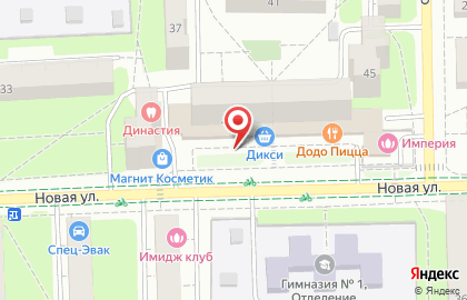 Киоск по продаже колбасных изделий на Новой улице на карте