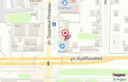 Лион в Новомосковске на карте