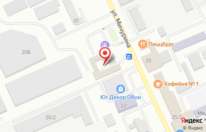 Бош Авто Сервис на улице Мичурина на карте