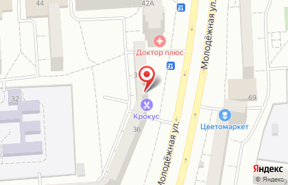 Торгово-сервисная компания Интеграл на Молодёжной улице на карте