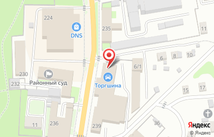 Шинный центр Торгшина на Советской улице на карте