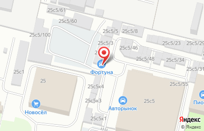 Магазин автотоваров Фортуна на Московском проспекте на карте