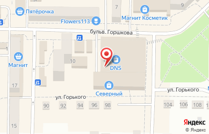 Служба доставки DPD в Рузаевке на карте