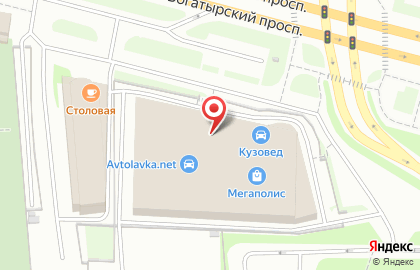 Магазин Автотренд на Богатырском проспекте на карте