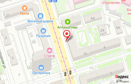 Русская птица на улице Октябрьской Революции на карте
