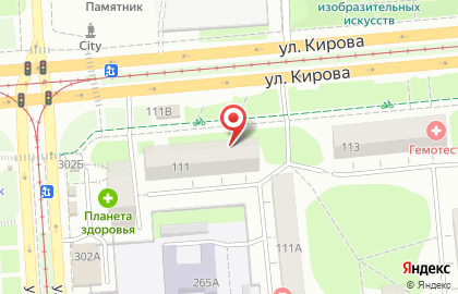 Ветеринарная клиника 9 жизней на улице Кирова на карте