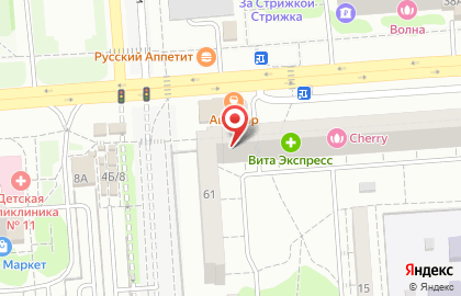 Зоомагазин Зоомир на улице Генерала Лизюкова на карте