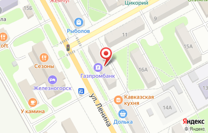 Аптека Доктор Столетов в Железногорске на карте
