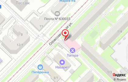 Аптека Муниципальная Новосибирская аптечная сеть на Оловозаводской улице на карте