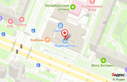 Банкомат Банк Санкт-Петербург на проспекте Просвещения на карте