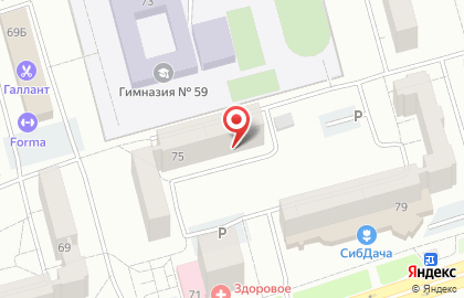 Клуб служебного собаководства Сириус в Новоильинском районе на карте