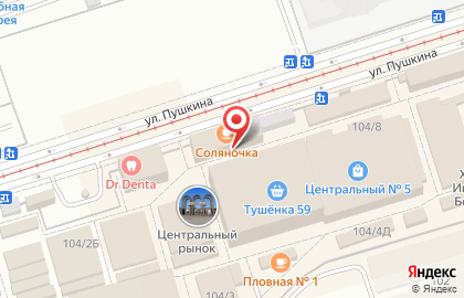 Ариадна на улице Пушкина на карте