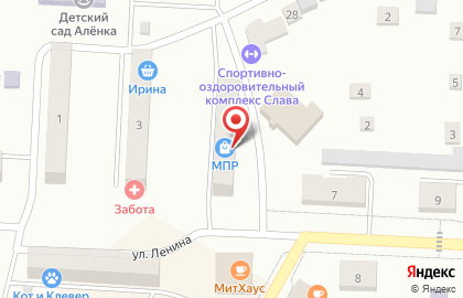 Магазин канцелярских товаров на улице Ленина на карте