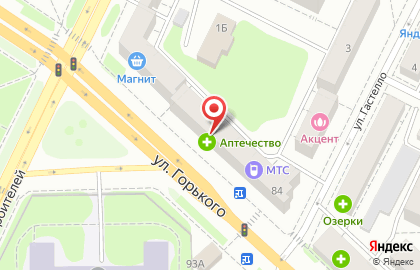 Специализированный магазин Дом мяса на улице Горького на карте