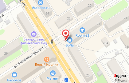 Меховой салон Severina на улице Максима Горького на карте