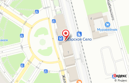 Царское Село в Пушкине на карте