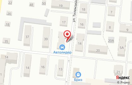 Интернет-магазин автозапчастей Автолидер на ​Тилемзейгера на карте
