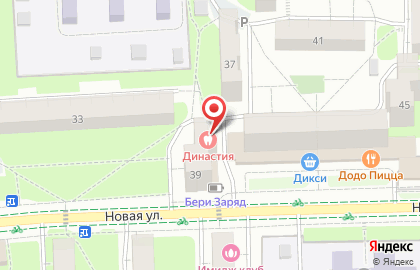 Стоматологический центр Династия на Новой улице на карте