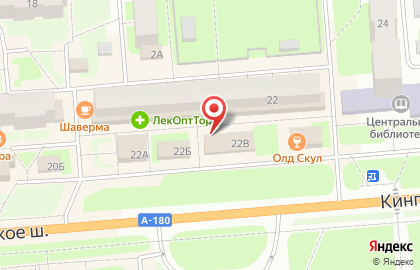 Магнит на Кингисеппском шоссе на карте