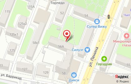 Магазин одежды Силуэт на улице Ленина на карте