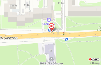 Магазин цветов в Воронеже на карте