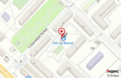 Магазин бытовой химии Престиж на улице Скворцова на карте