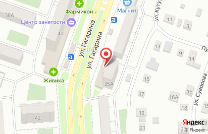 Vetranet на улице Гагарина на карте