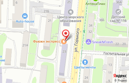 Кафе Фьюжн экспресс на улице Горького на карте