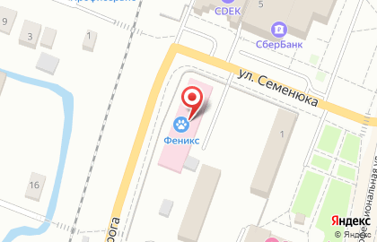 Ветеринарный центр Феникс на Профессиональной улице в Дмитрове на карте