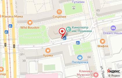 Киоск по продаже печатной продукции Роспечать на улице Пушкина на карте