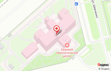 Пермский краевой перинатальный центр на карте