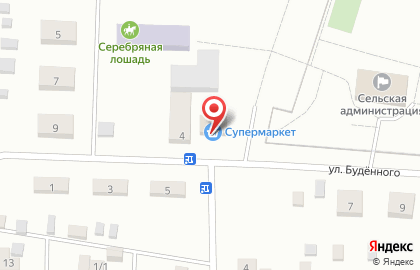 Супермаркет Путник на улице Будённого на карте