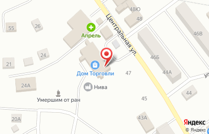 Магазин Fix Price на Центральной улице на карте