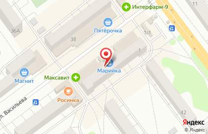 Магазин хозяйственных товаров Умелец на улице Васильева на карте