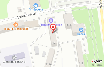 Домашний любимчик на карте