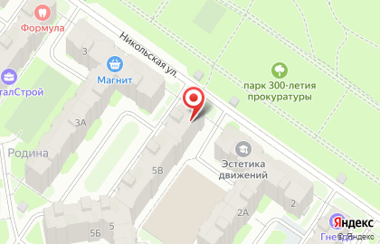 Продуктовый магазин на Владимирской улице на карте