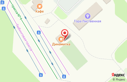 Центр проката коньков Гора Лиственная на карте