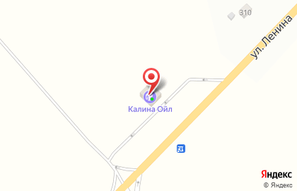 Автомойка Калина Ойл на улице Ленина на карте