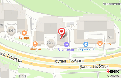 Щукарь в Воронеже на карте