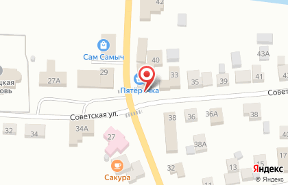 Фирменный мясной магазин Равис на Советской улице на карте