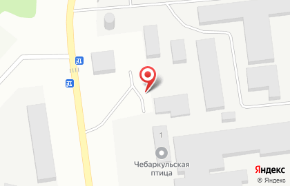 Фирменный магазин Чебаркульская птица на улице Суворова на карте