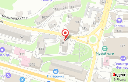 Зоомагазин Гарфилд на Пушкинской улице на карте