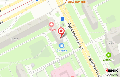Магазин разливного пива ГлавПиво на Будапештской улице на карте